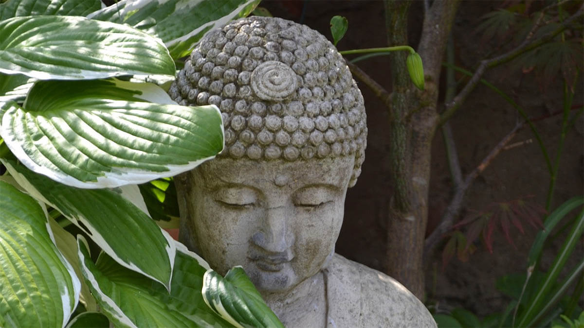 buddha-statue-blaetter-gruen