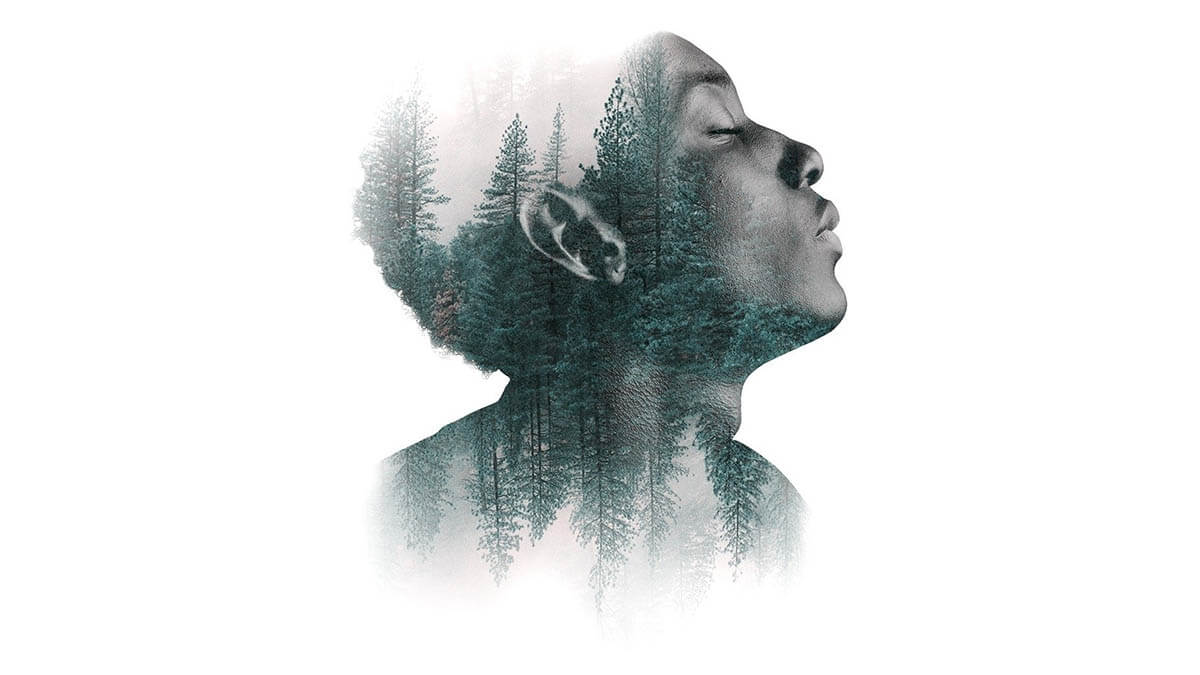 raional-emotional-kopf-baeume