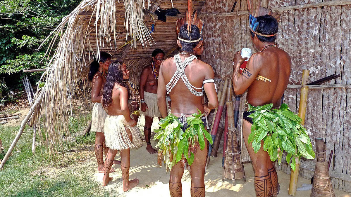 regenwald-amazonas-indigenes-volk