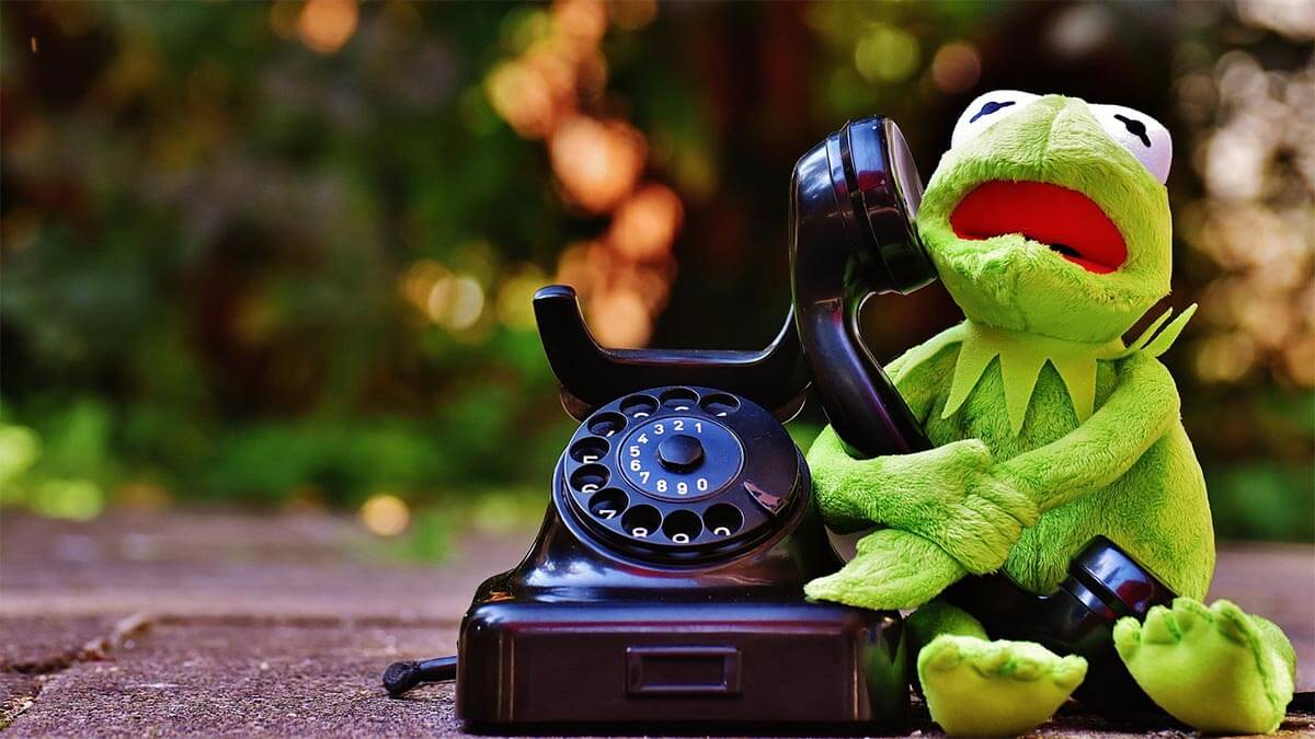 telefon-genervt-frosch