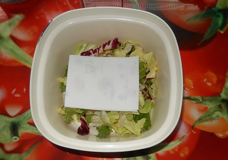 salat aufbewahren