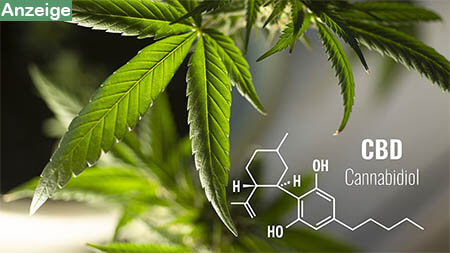cannabidiol