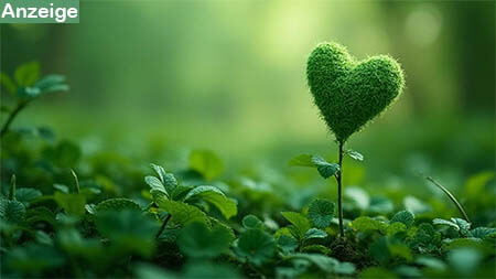 herz-moos-gruen