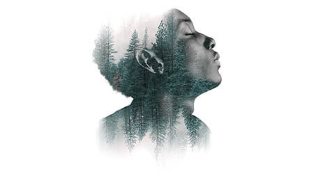 rational-emotional-kopf