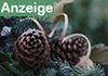tannenzapfen-weihnachtsbaum