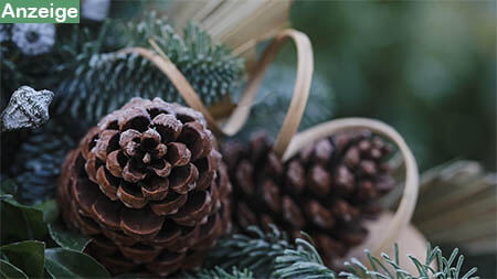 tannenzapfen-weihnachtsbaum