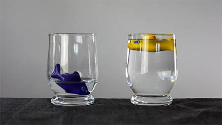 ungerechtigkeit-fische-im-wasser