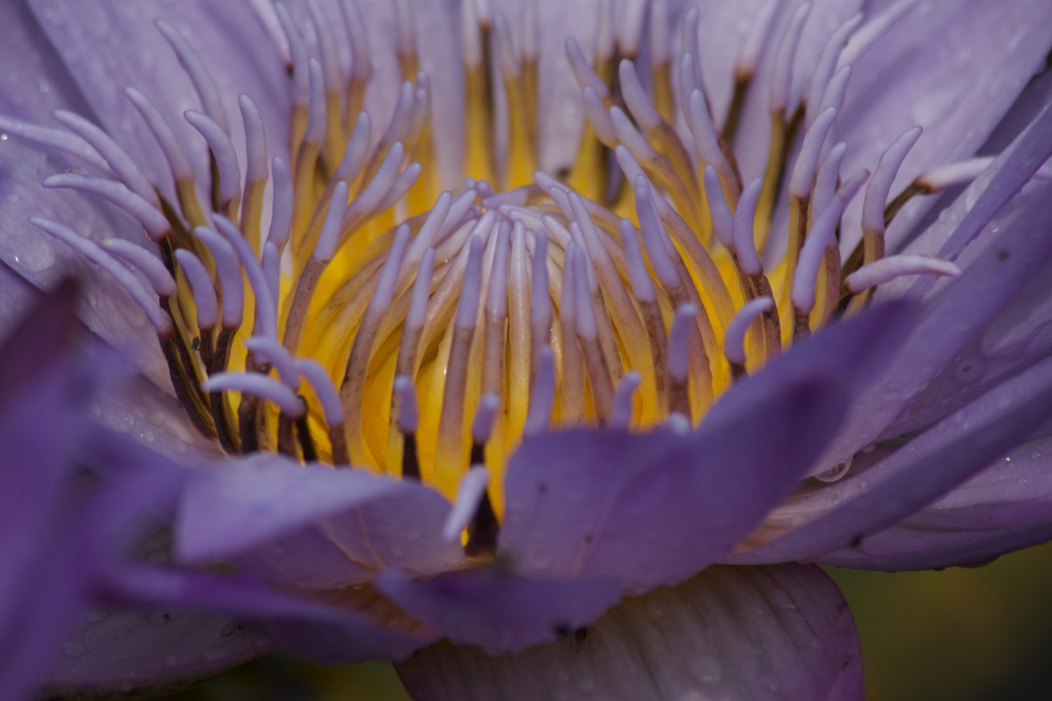 Praxis für Psychotherapie, Hypnose und Ernährung