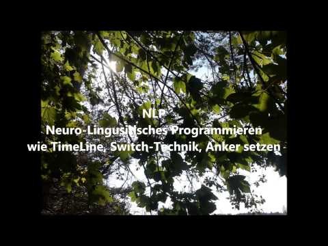 Verwirkliche Deine Ziele mit Hypnose, Klopftechnik, NLP und Familienstellen