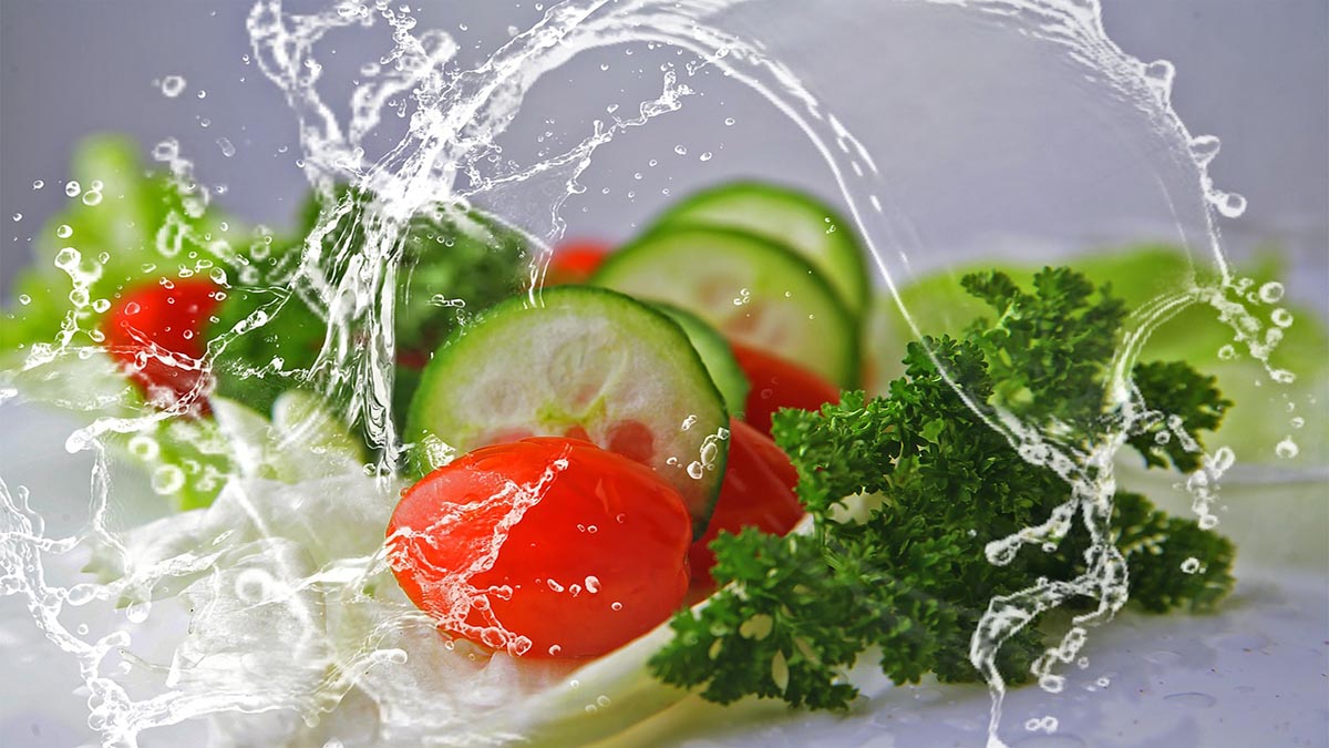 salat frisch halten