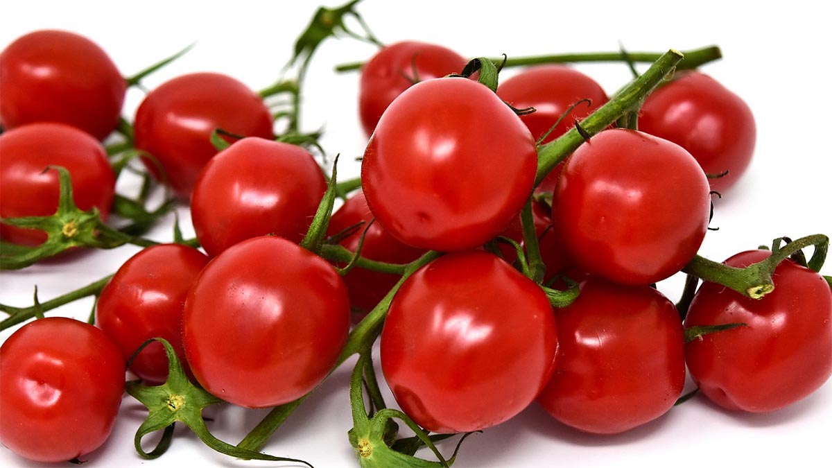 cocktailtomaten