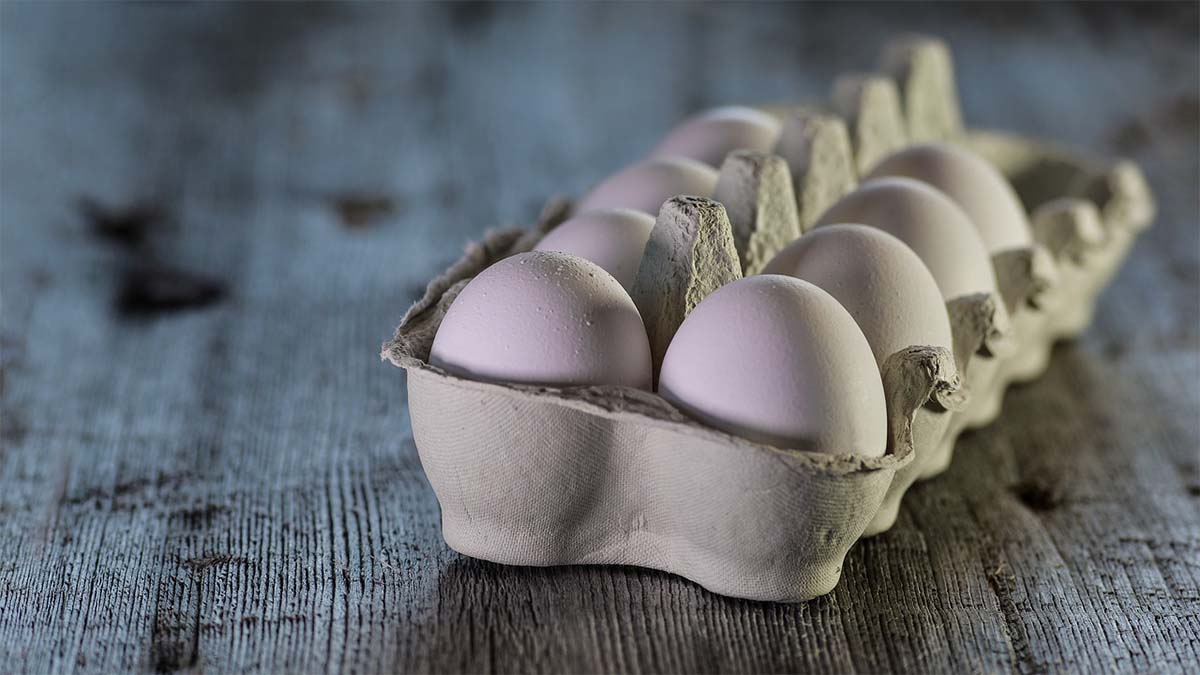 eier frischetest