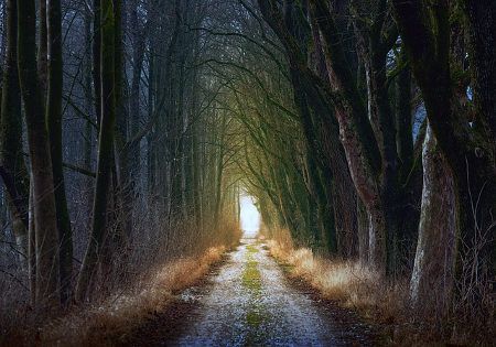 weg-aus-der-dunkelheit