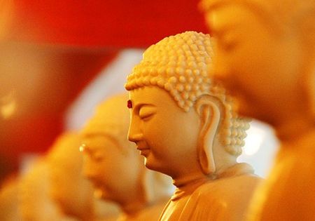 buddha statuen