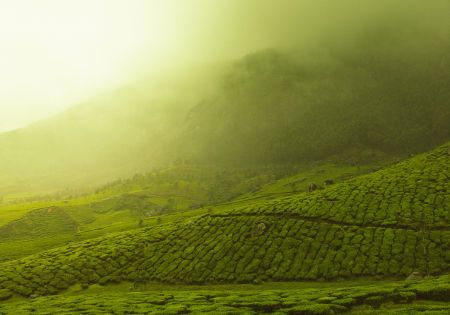 vivek kumar 616226 unsplash