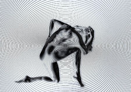 hypnose trance illusion