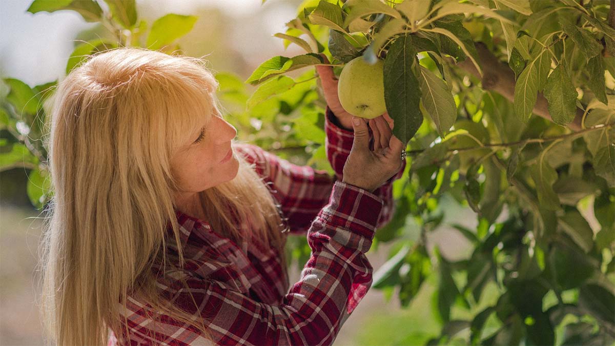 frau-baum-apfel