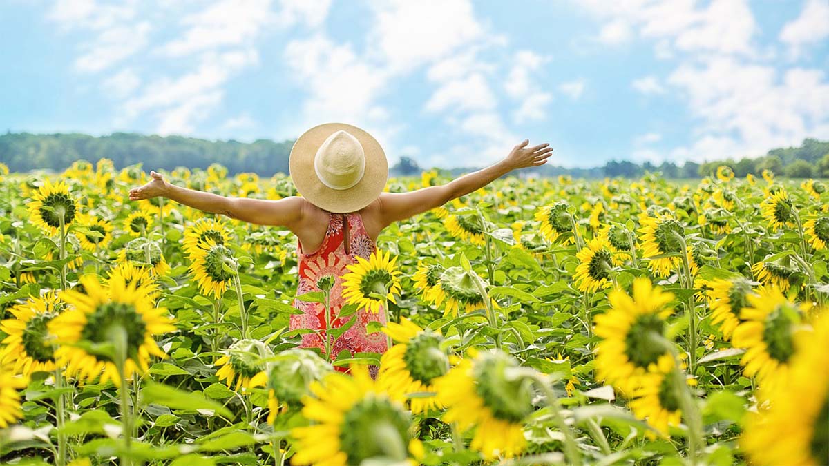 Seine wahren Potenziale entfalten frau-sonnenblumenfeld