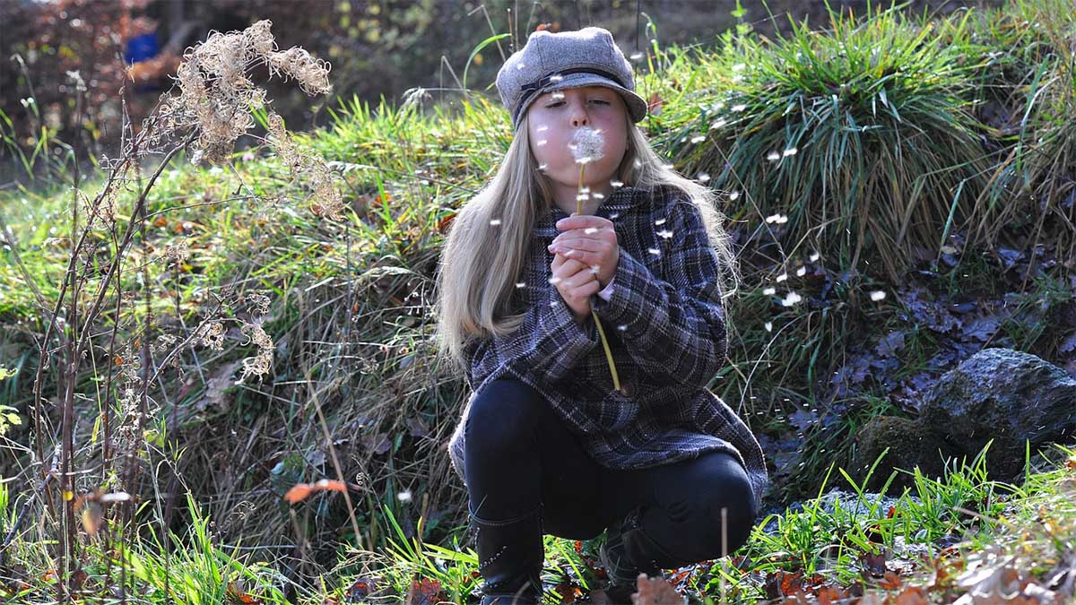 kind-maedchen-pusteblume