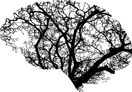 gehirn baumstruktur