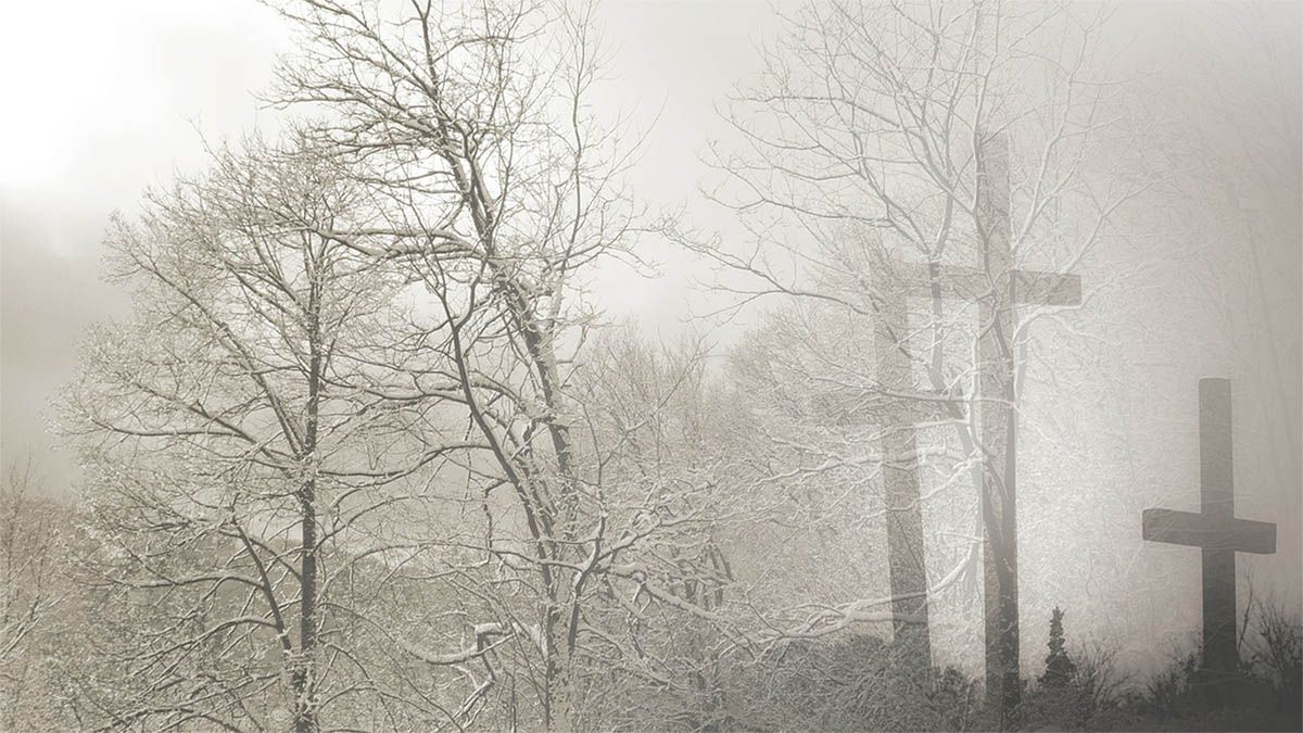 baum-grabstein-nebel-schwarz-weiss