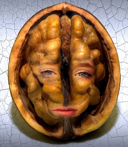 walnuss gesicht