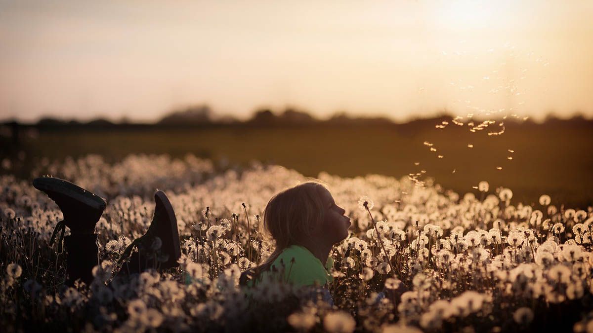 maedchen-liegt-auf-wiese-pusteblume