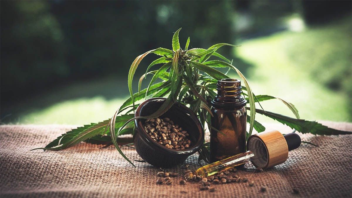 cbd oel hanf