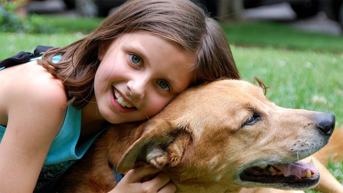 maedchen knuddelt mit hund