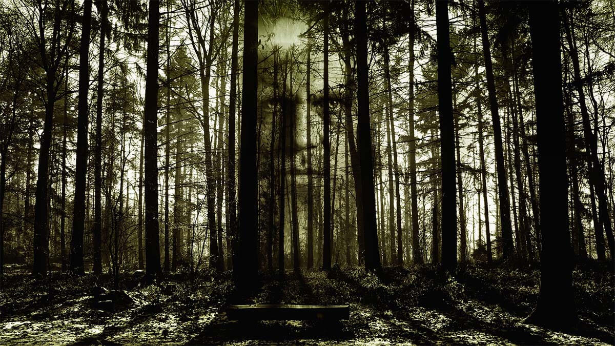 angst-gesicht-im-wald