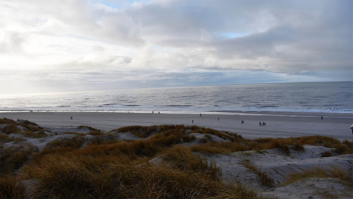 daenemark duenen strand