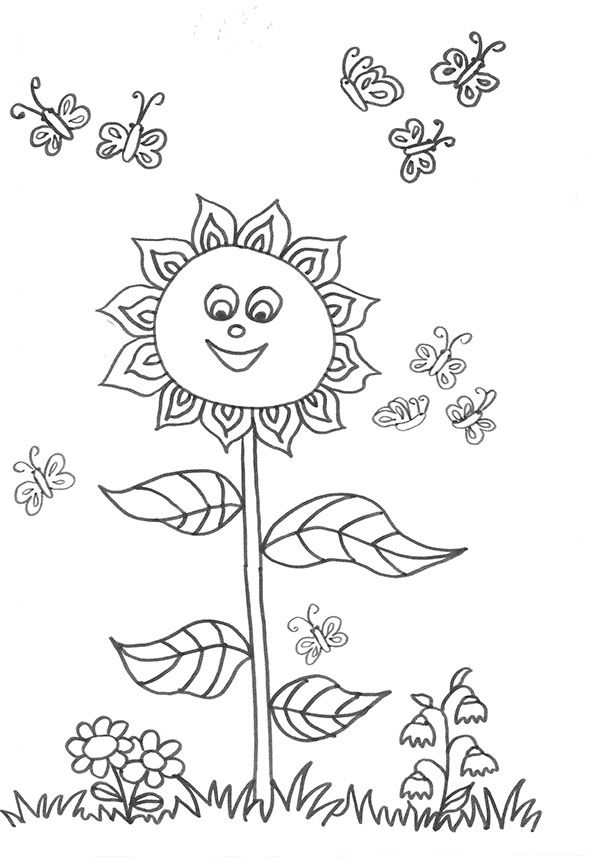 screenshot sonnenblume