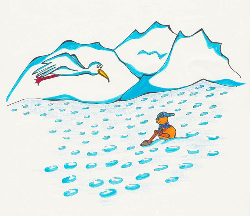 der kleine floh bild7