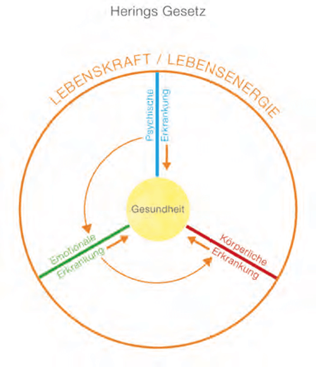 gesundheit grafik 4 asthma