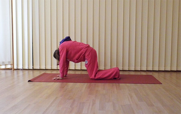 yoga uebung einschlafprobleme katzenbuckel