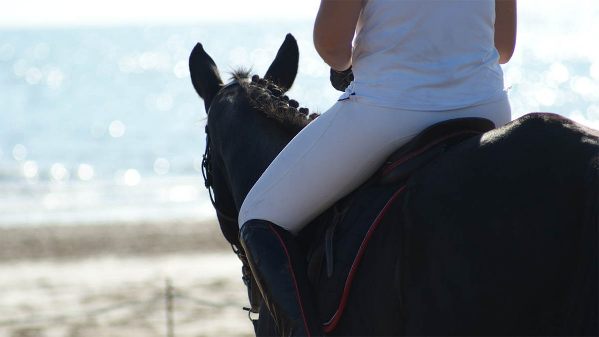 frau-auf-pferd-schaut-aufs-meer