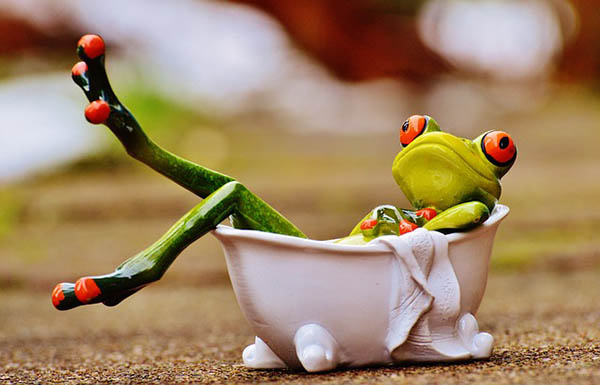 frosch nimmt ein bad klein