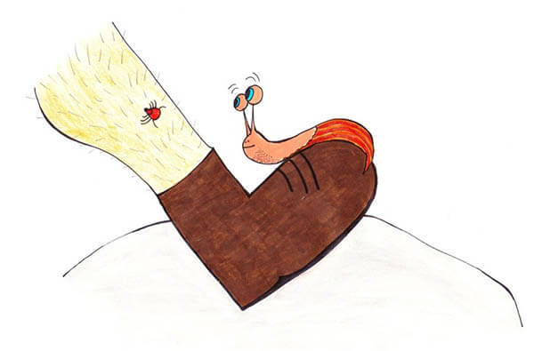 wie-die-nacktschnecke-zu-ihrem-haus-kam-bild3