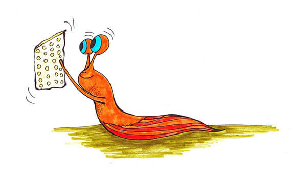 wie-die-nacktschnecke-zu-ihrem-haus-kam-bild4