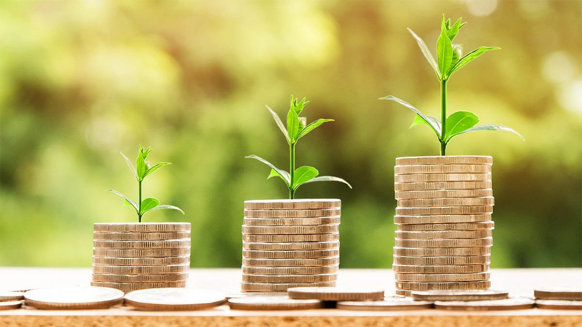 geld wachstum pflanze