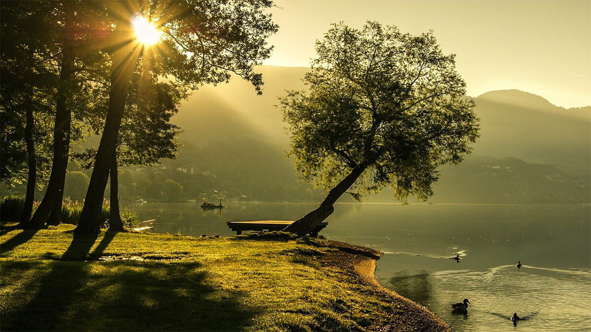 gebirgsee baum
