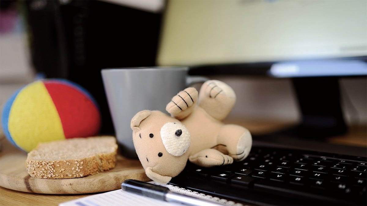 teddybaer-brot-computertastatur
