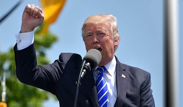 donald trump klein