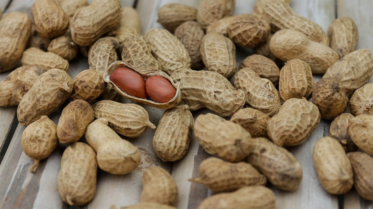 Nahrungsmittelallergien am Beispiel der Erdnussallergie erdnuesse-mit-schale