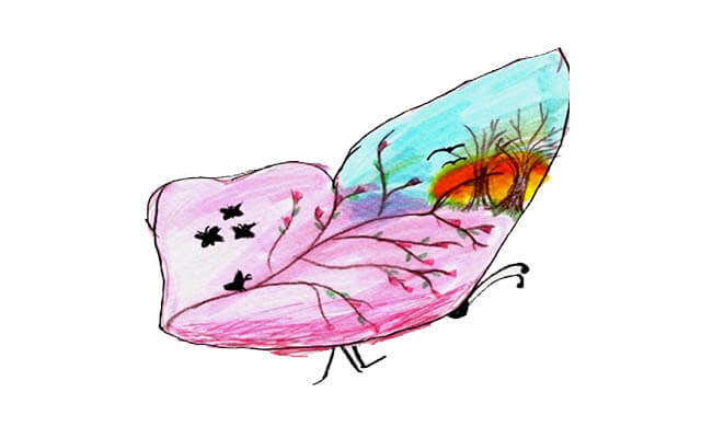 fingerhut schmetterling zeichnung klein