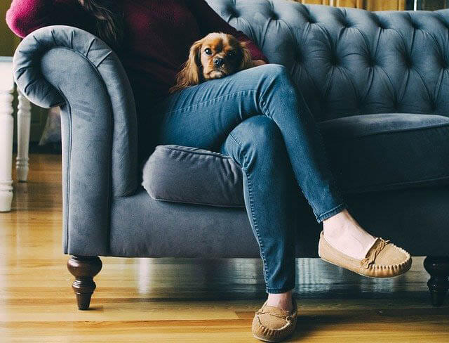 frau hund sofa klein