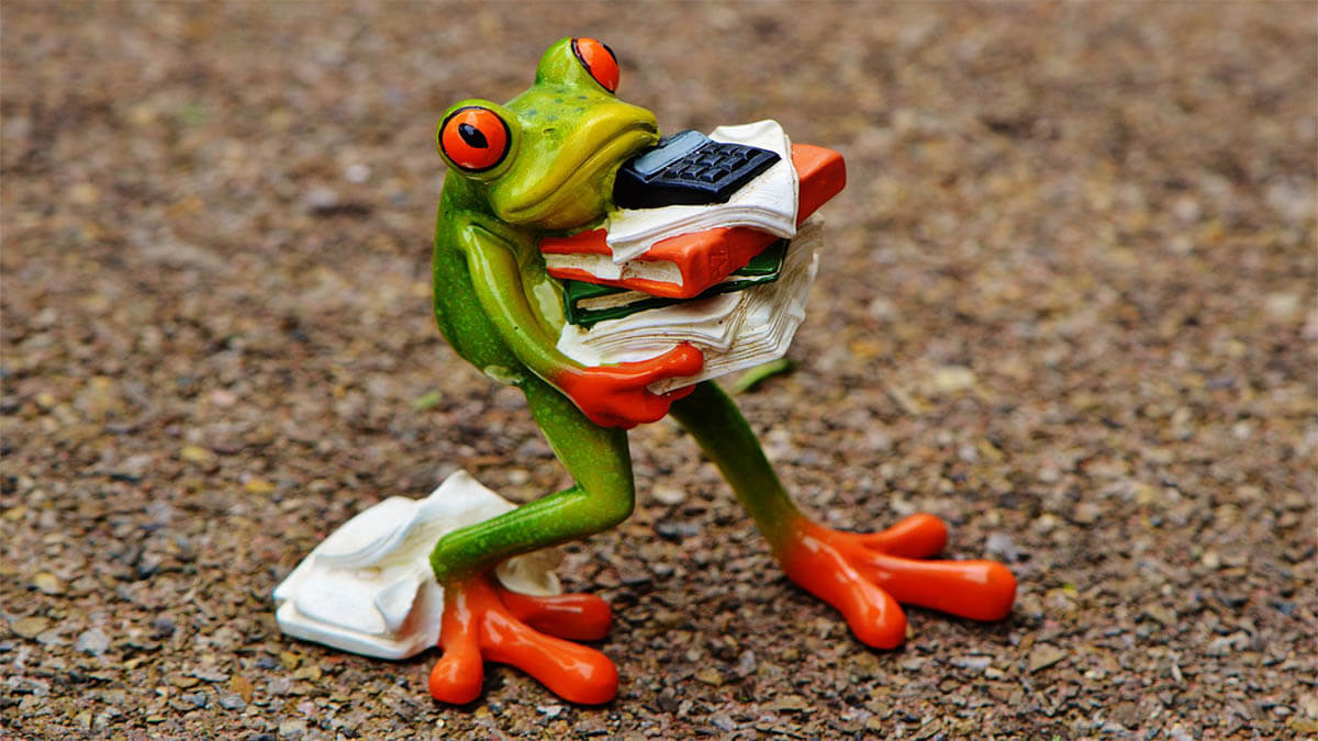 frosch-stress-aktentaschen