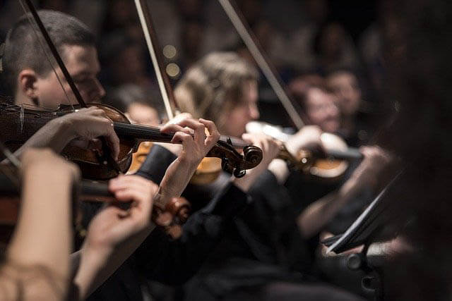 konzert geigen klein