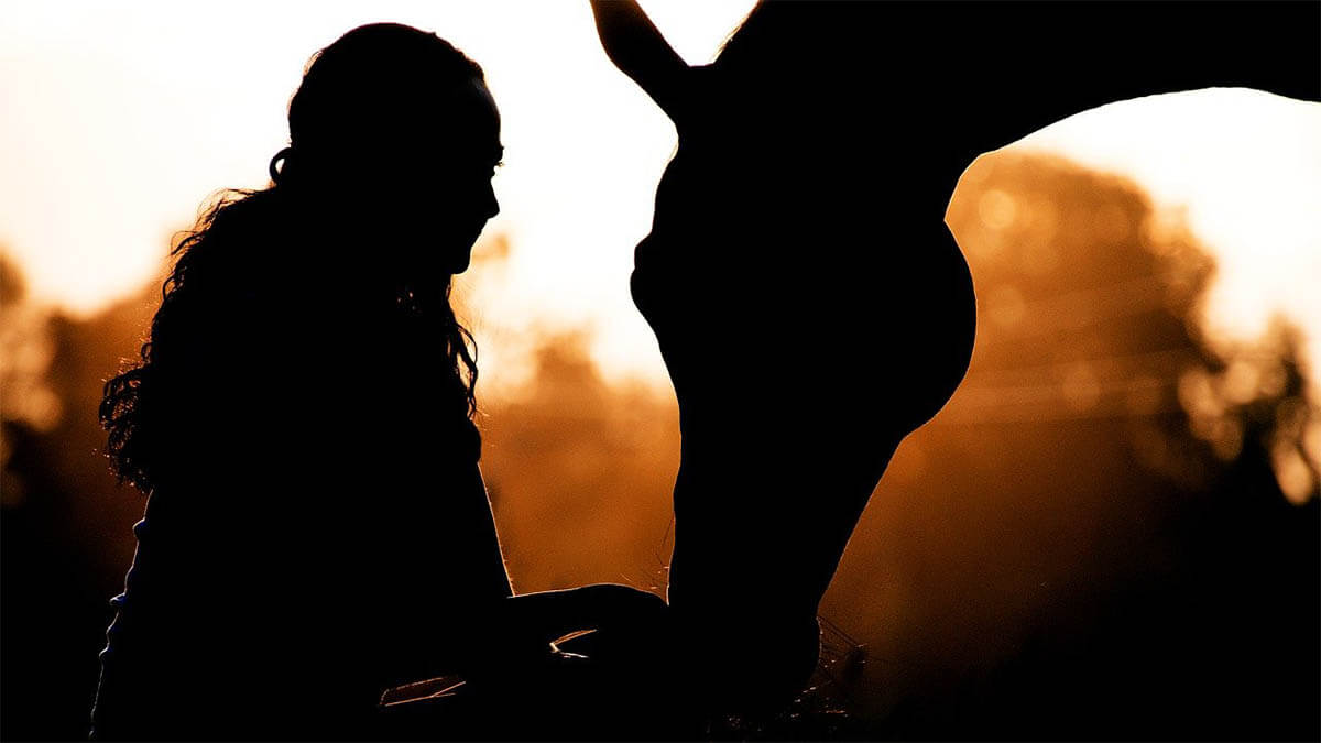 Meditieren mit Pferden frau pferd sonnenuntergang