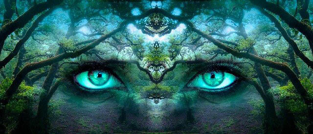 illusion wald augen klein